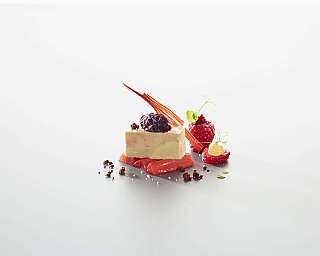 Terrine de foie gras d'oie