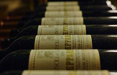 Row of wine bottles