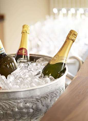 Wine bottles in an ice bucket