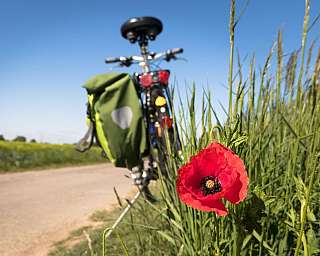 Fahrrad am Landweg