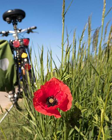 Fahrrad am Landweg