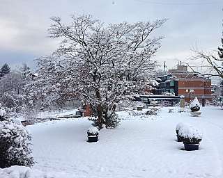 Verschneite Winterlandschaft