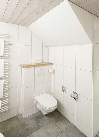 Modern bathroom with shower